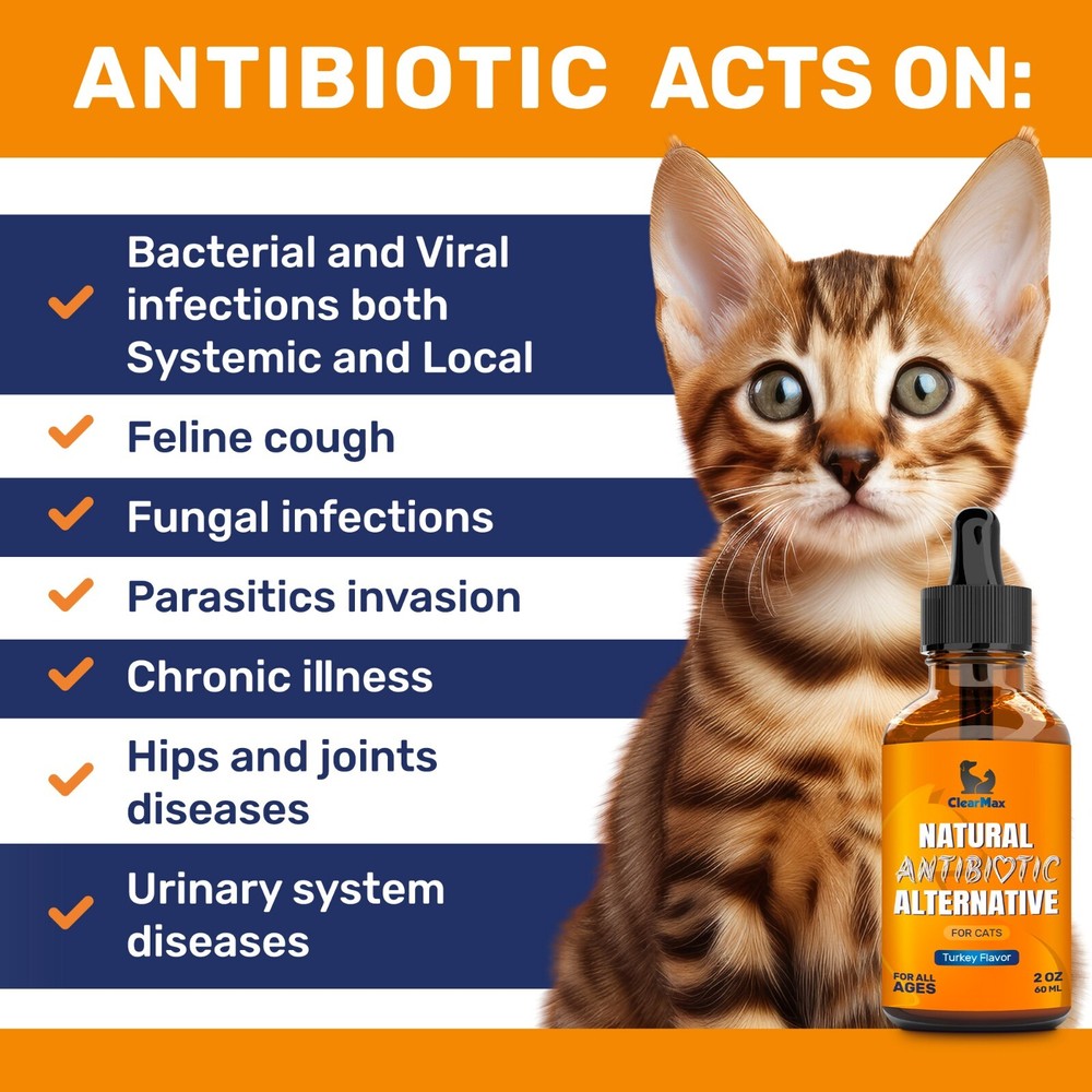 Cat Allergy & Infection Support | Natural Antibiotic Liquid | 2 oz