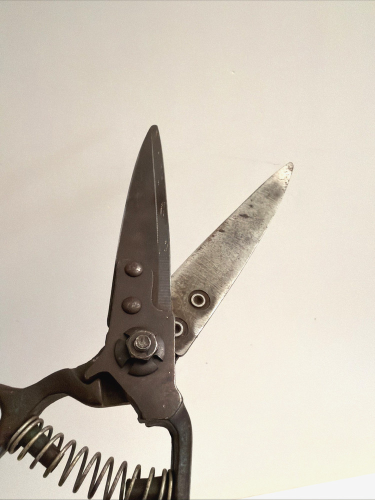 Garden / Grass Shears Vintage 12" Coil Spring Sharp! Nice Old Tool!