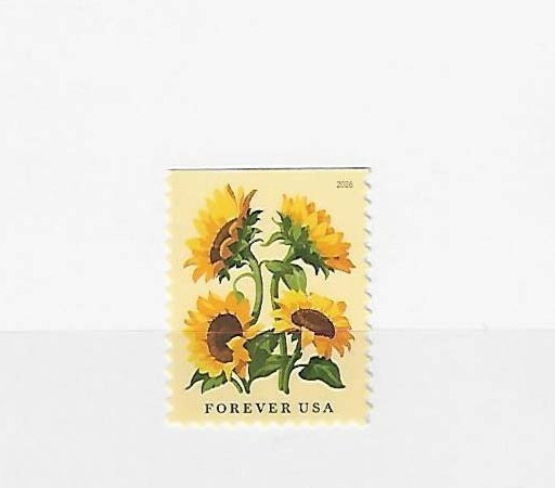 US Sunflowers Forever Stamp Single Scott #6067