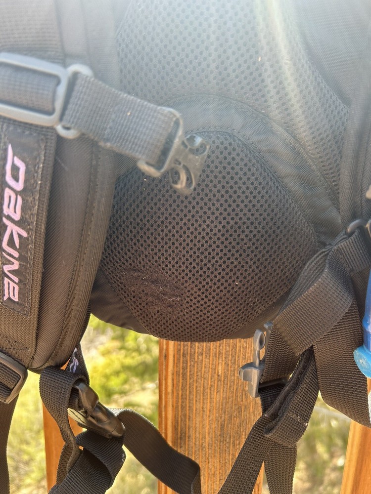 DAKINE Glacier Backpack With Water Bag