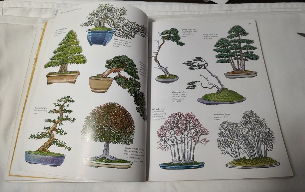 BONSAI SURVIVAL GUIDE by Colin Lewis