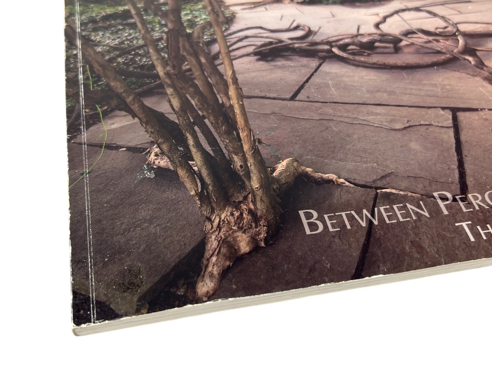 Winifred Lutz BETWEEN PERCEPTION & DEFINITION 2012 Work Art Exhibition Catalog