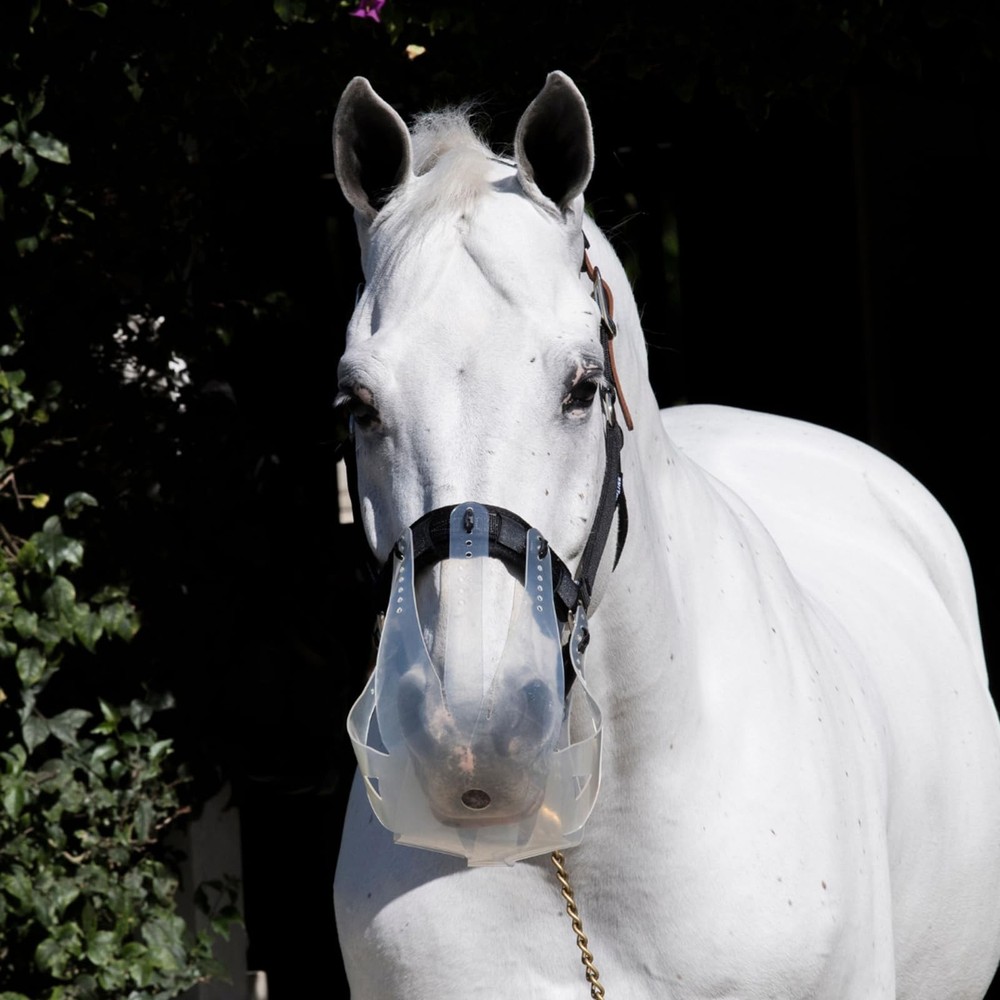 ThinLine Flexible Filly Grazing Muzzle | Lightweight Safe Comfortable Ventila...