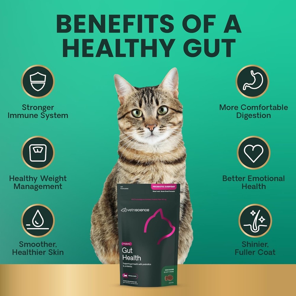 VetriScience Gut Health Probiotic & Prebiotic Digestive 60 Chews, 60 Count
