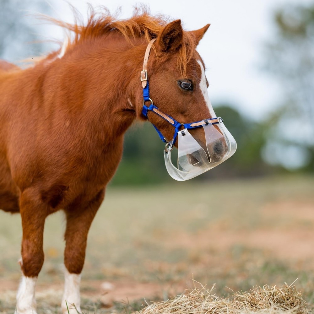 ThinLine Flexible Filly Grazing Muzzle | Lightweight Safe Comfortable Ventila...