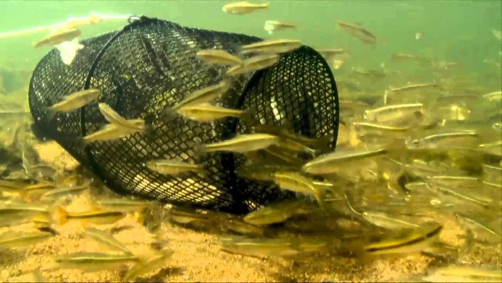 Frabill Torpedo Minnow Trap Mesh Black