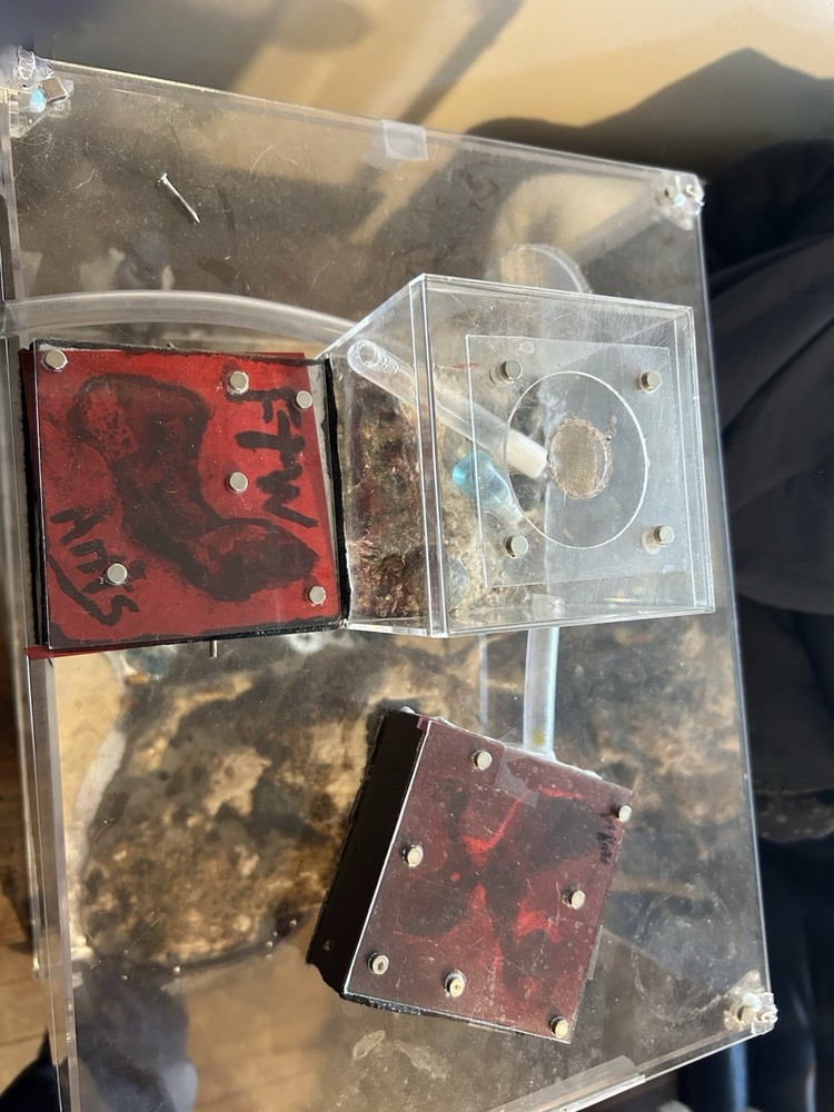 Formicarium