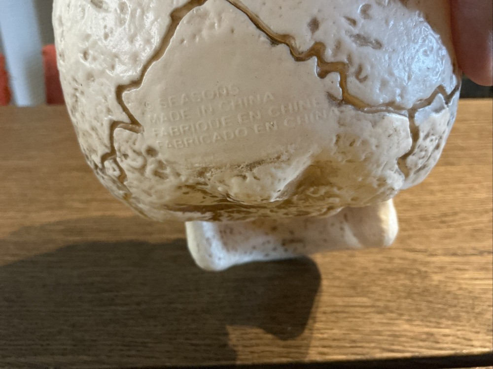Skull Figurine Halloween Decor Rustic Look
