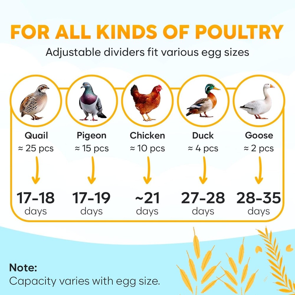 Egg Incubator with Automatic Egg Turning and Humidity Control - 12 Eggs