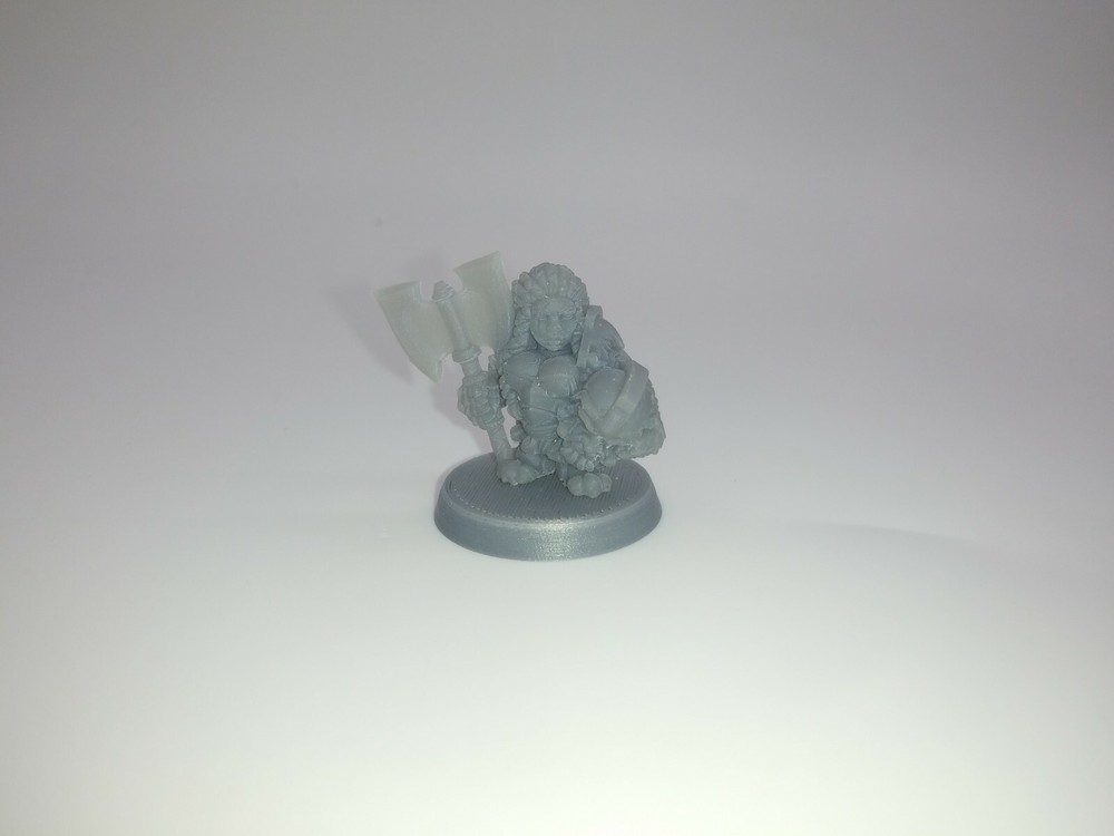 Female Dwarf warrior 