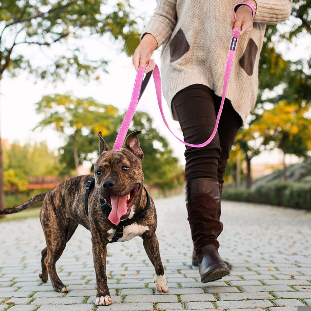 4FT Heavy Duty Dog Leash with Soft Padded Double Handle Durable Strong Clasp ...