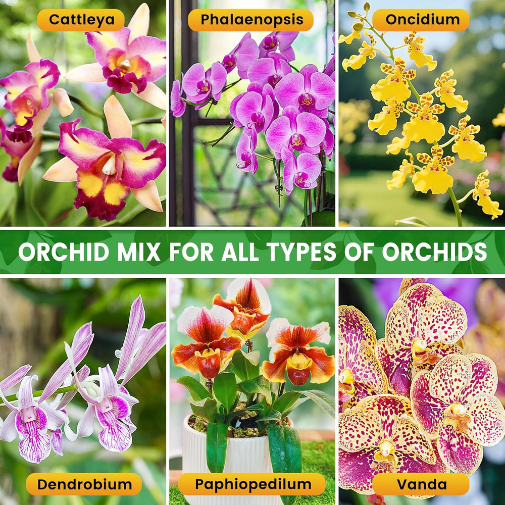 4 QT Orchid Potting Mix for Repotting- Include Moss, Pine Bark, Perlite and Coco