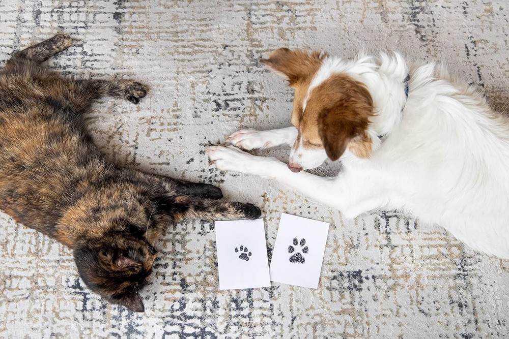 Mess-Free Pet Paw Print Impression Set - Ideal for Small & Medium Pets