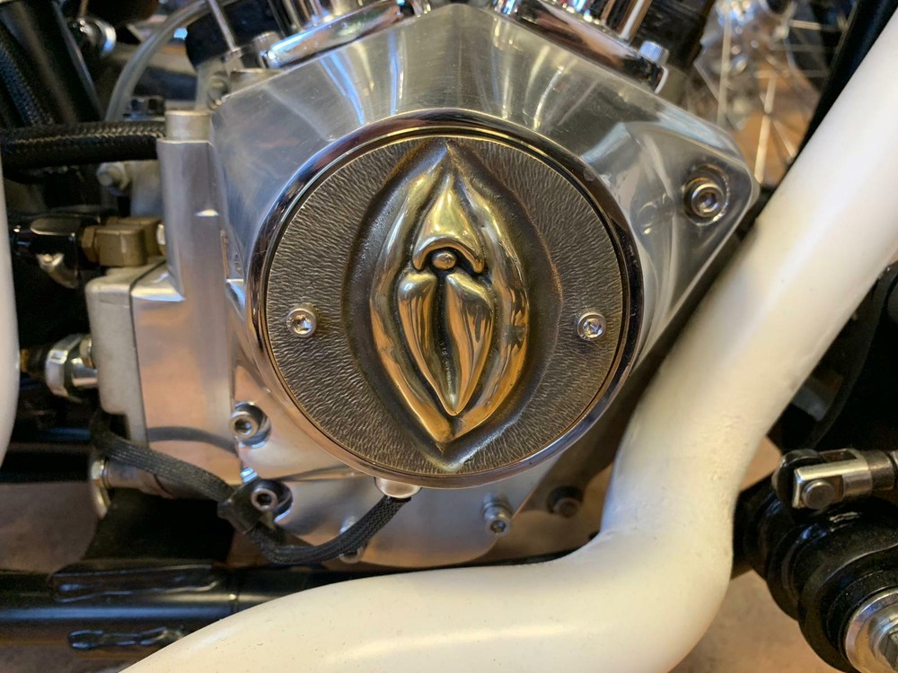Harley-Davidson SHOVELHEAD, EVOLUTION,Sportster point cover, SOLID BRASS