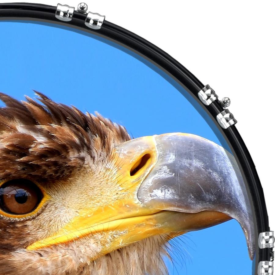 20" Custom Bass Kick Drum Front Head Graphic Graphical Eagle 2