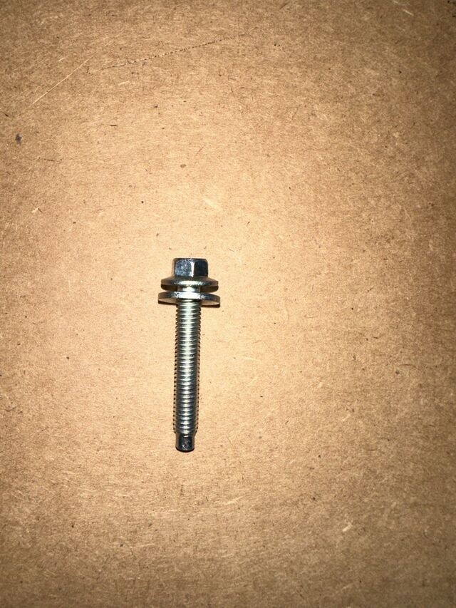 Genuine Ignition Coil Bolt W503280-S437
