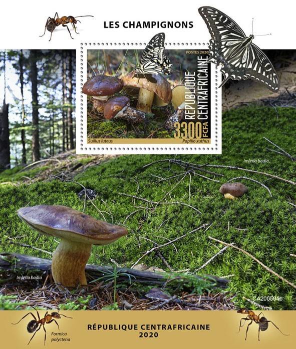 Mushrooms