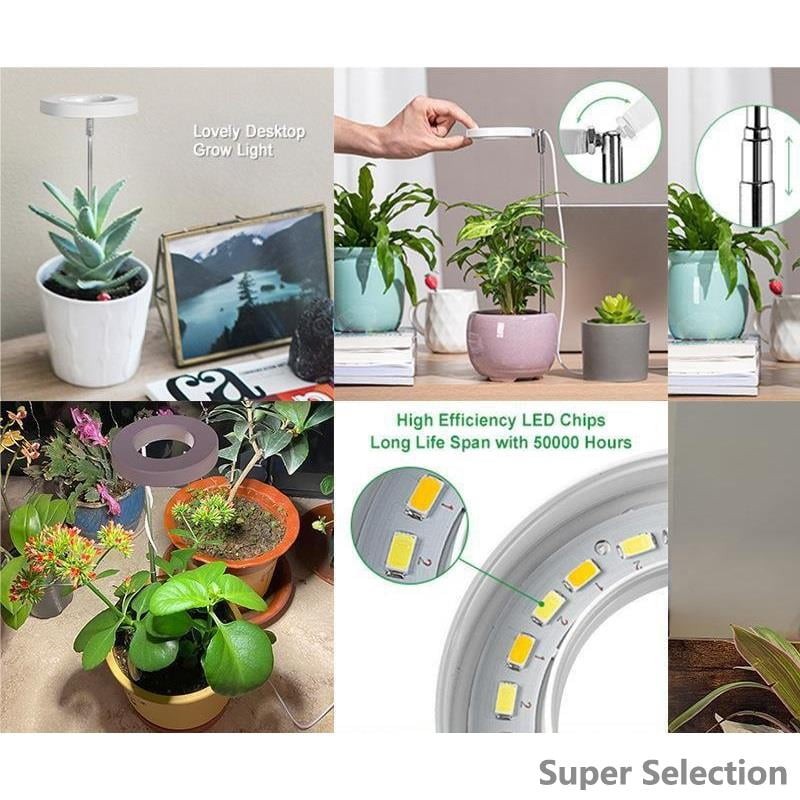 Full Spectrum LED Grow Light With Timer, Dimming, USB For Indoor Plants
