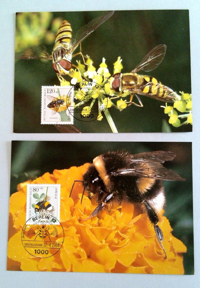 Germany - Berlin - 1984 Maxi Cards - Insects - Moths
