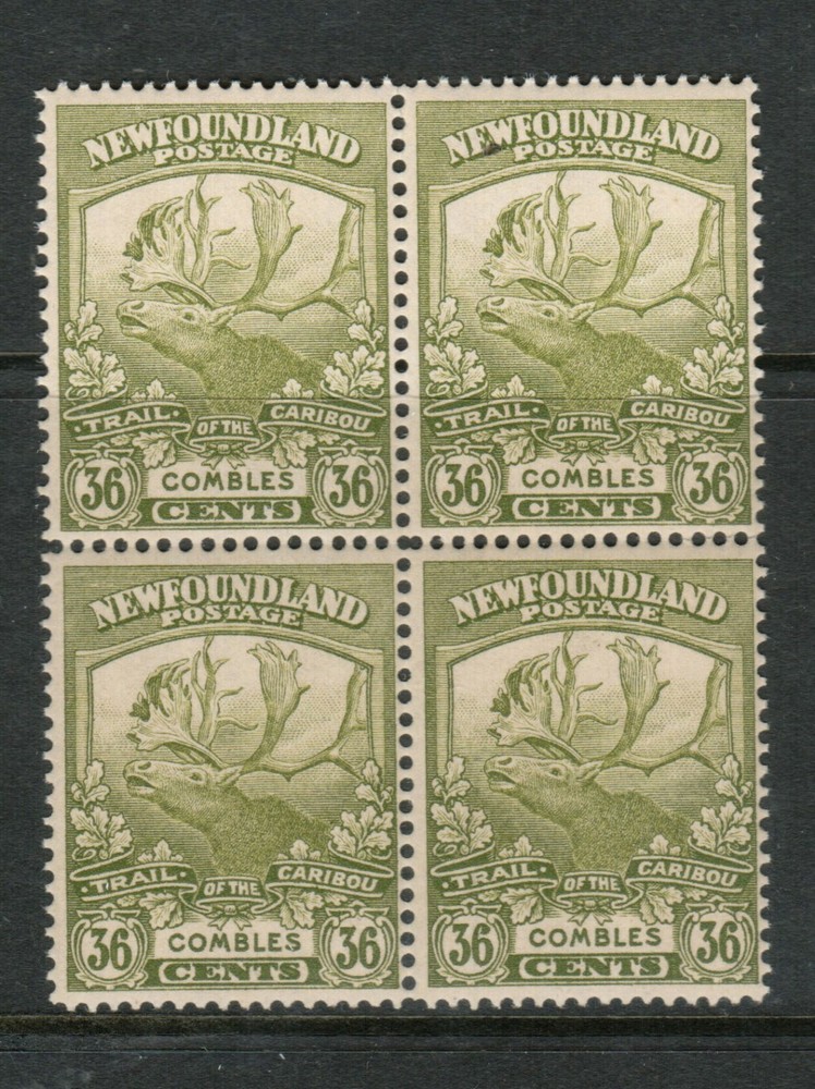 Newfoundland #126 Very Fine Never Hinged Block