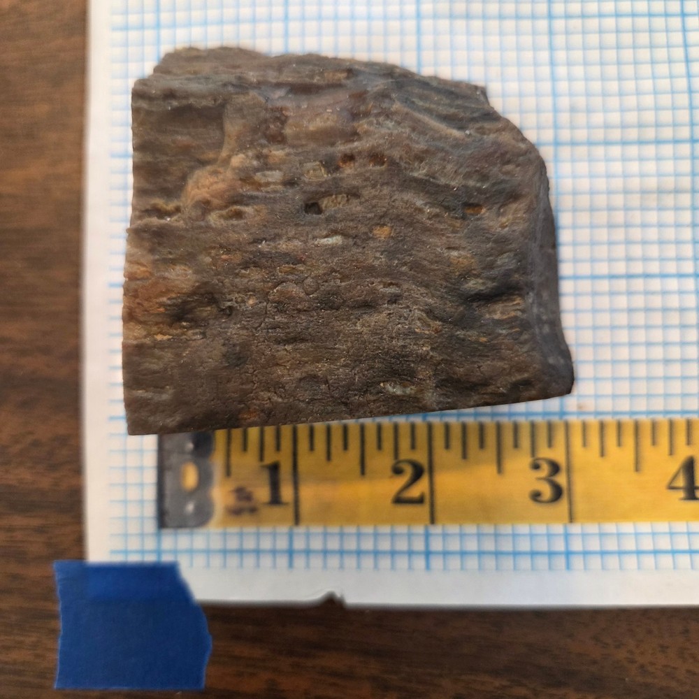 Palm Rough