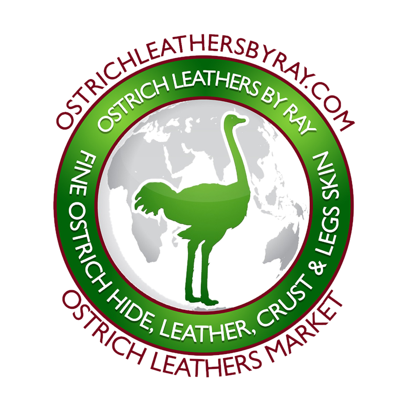Crocodile Leather Crust (100% Genuine skin)