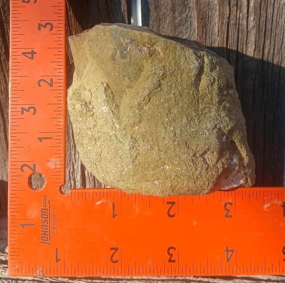 Extremely rare geodized Indonesian petrified wood
