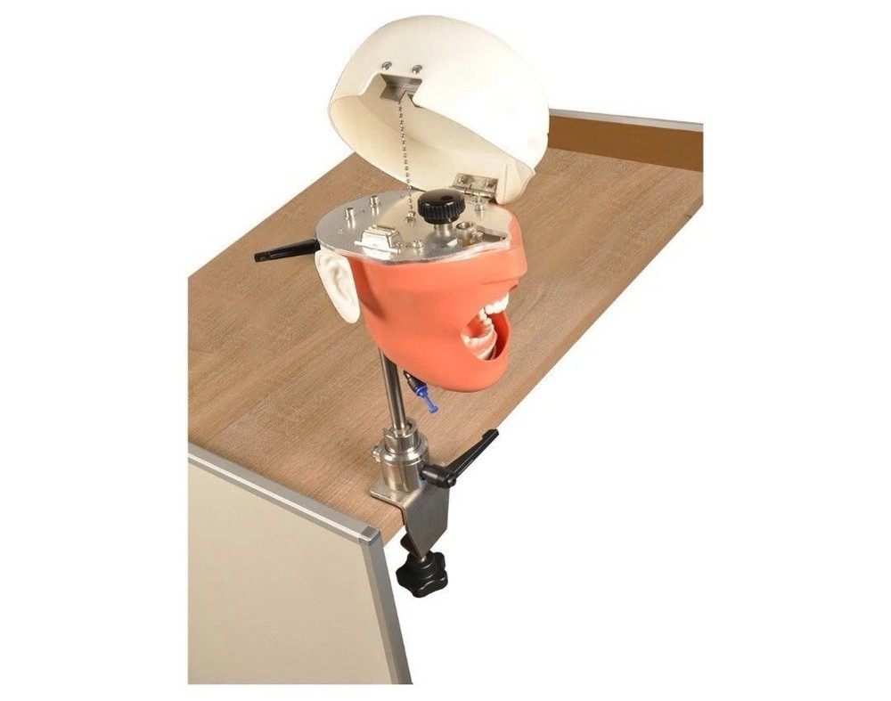 Dental Manikin System for Bench