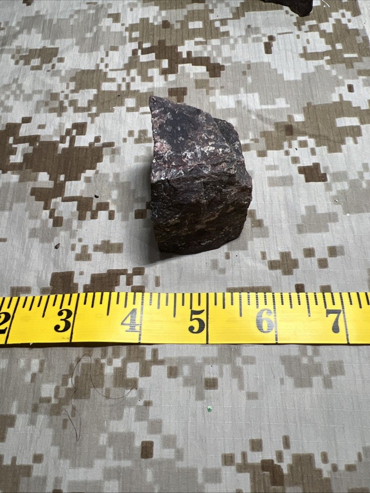 Fossil T-Rex Bone Fragment
