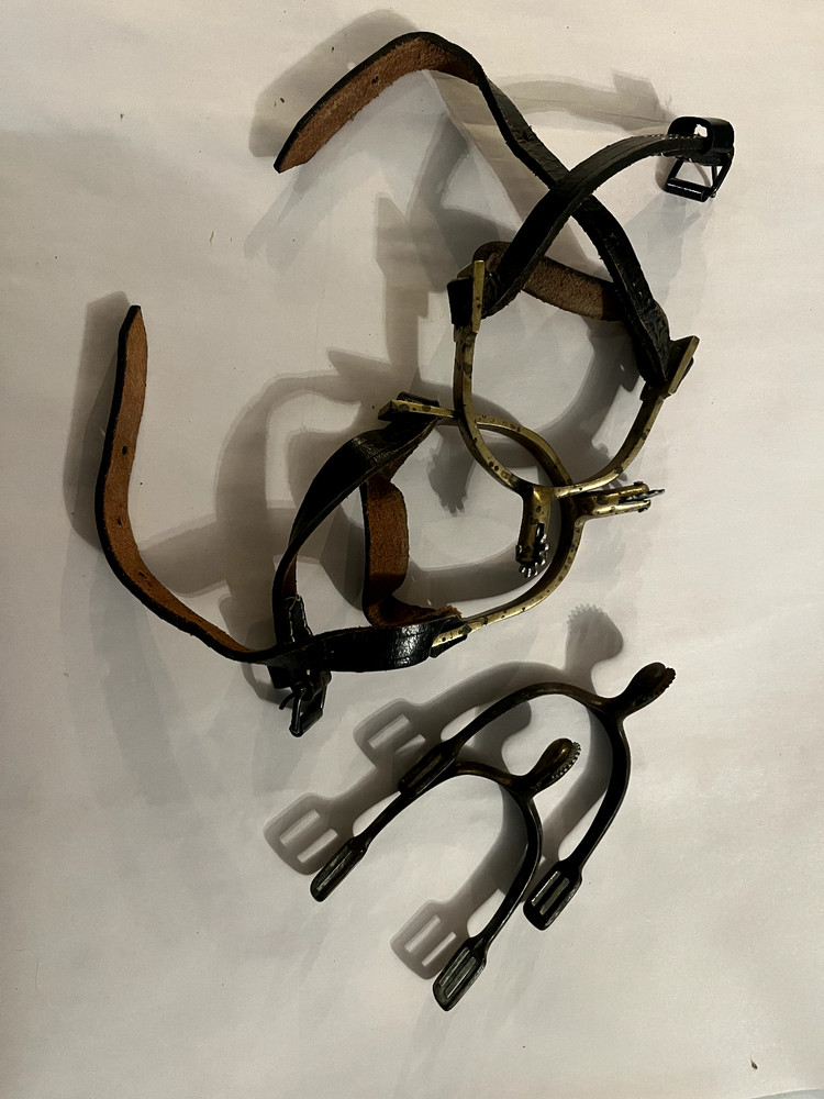 Vintage Spurs -