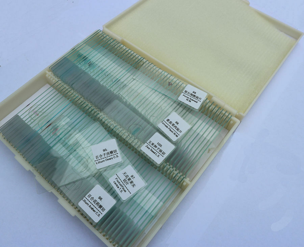 Prepared Microscope Slides Specimen Glass Set with Plastic Storage Box & Label