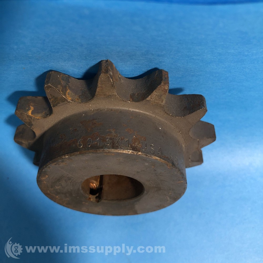 6013X1 Roller Chain Sprocket USIP