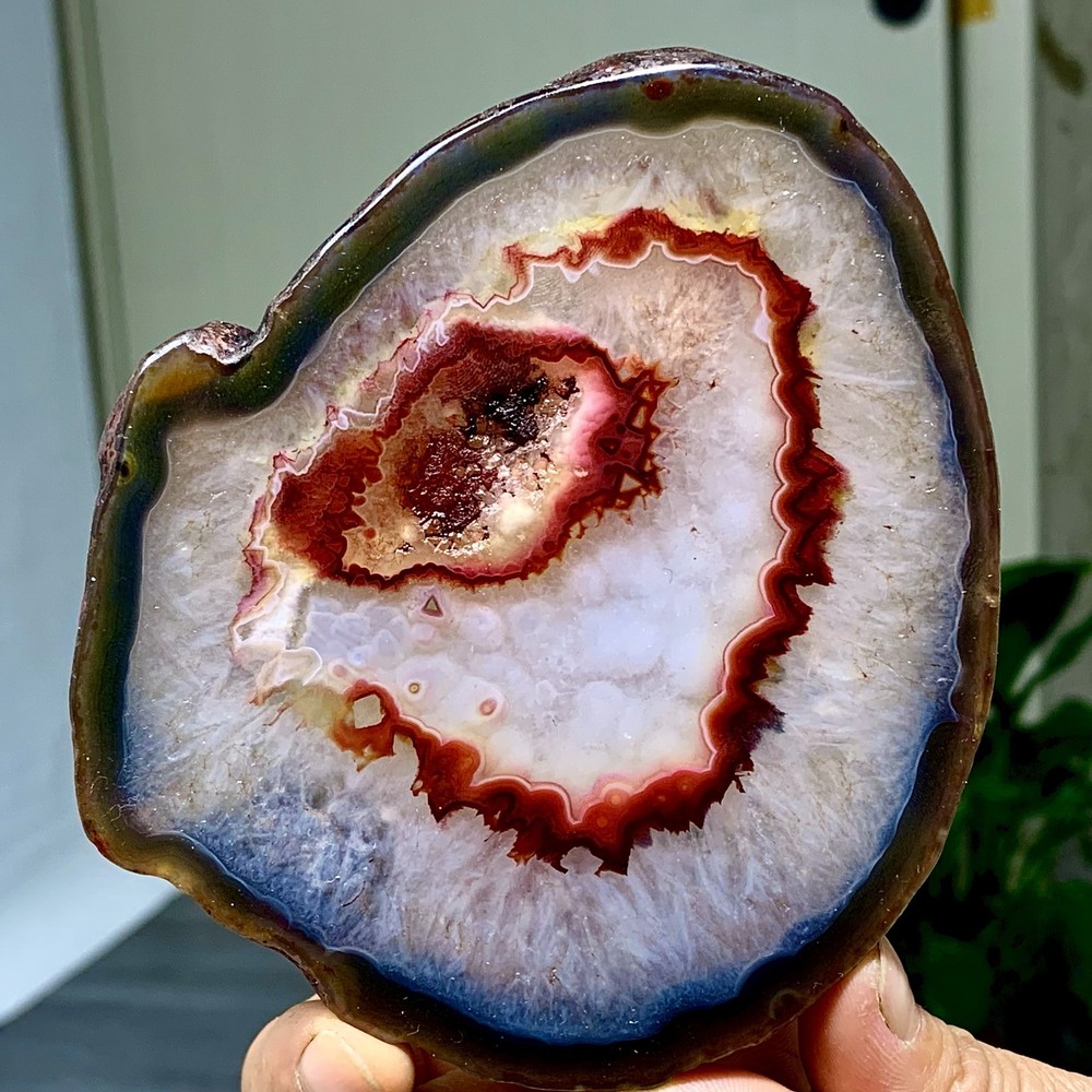 287G Natural Beautiful Agate Geode Druzy Slice Extra Large Gemstone