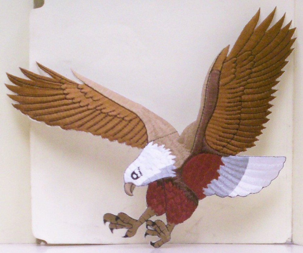 Large Eagle Landing Embroidered Back Patch