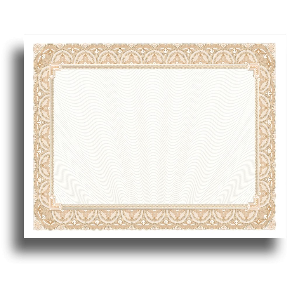 Heavyweight Thick Blank Certificate Paper - 100 Sheet Pack - 8.5" x 11" Plain...