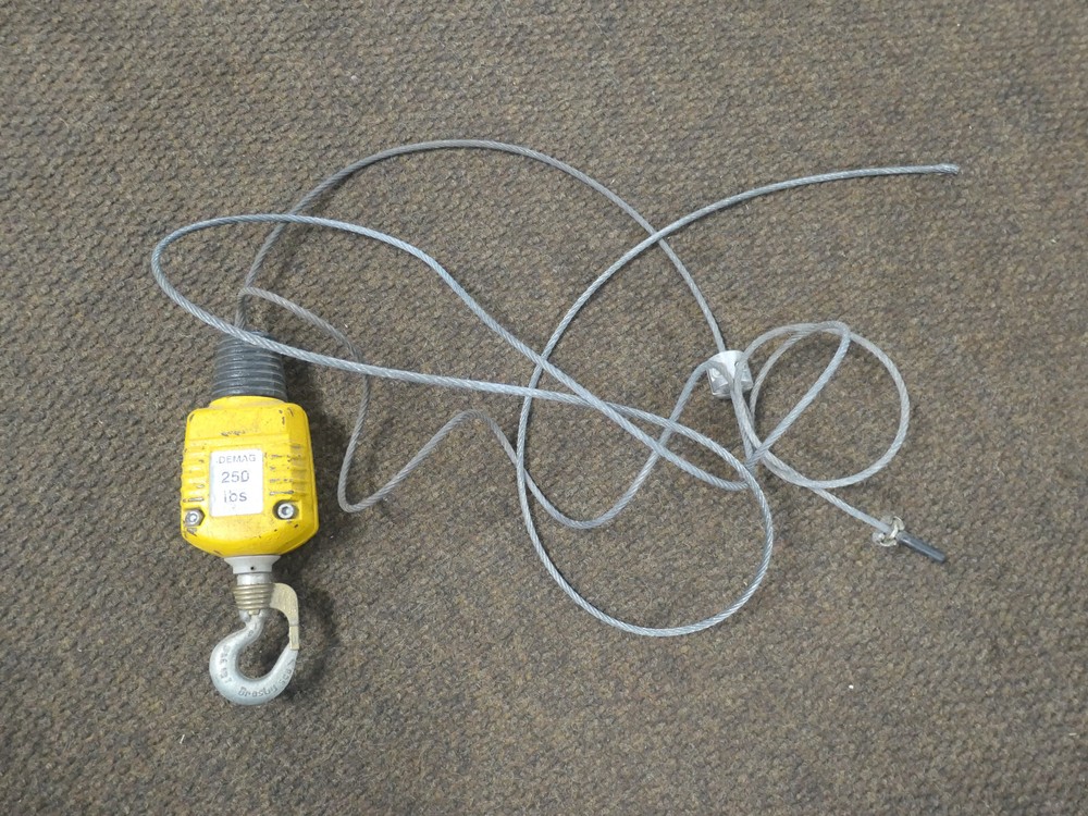 Demag 250LB Hoist