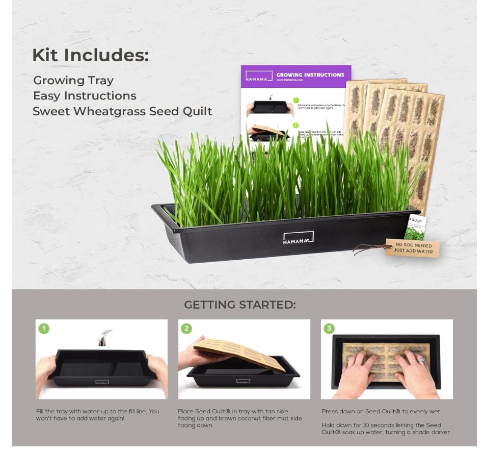 Microgreens Growing Kit