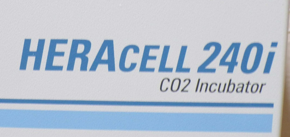 Thermo HERAcell vios 240i CO2 Incubator Dual Stack, Copper *used working