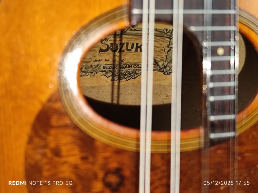 Suzuki Model M-30 4/4 Mandolin 曼陀林 만돌린マンドリン