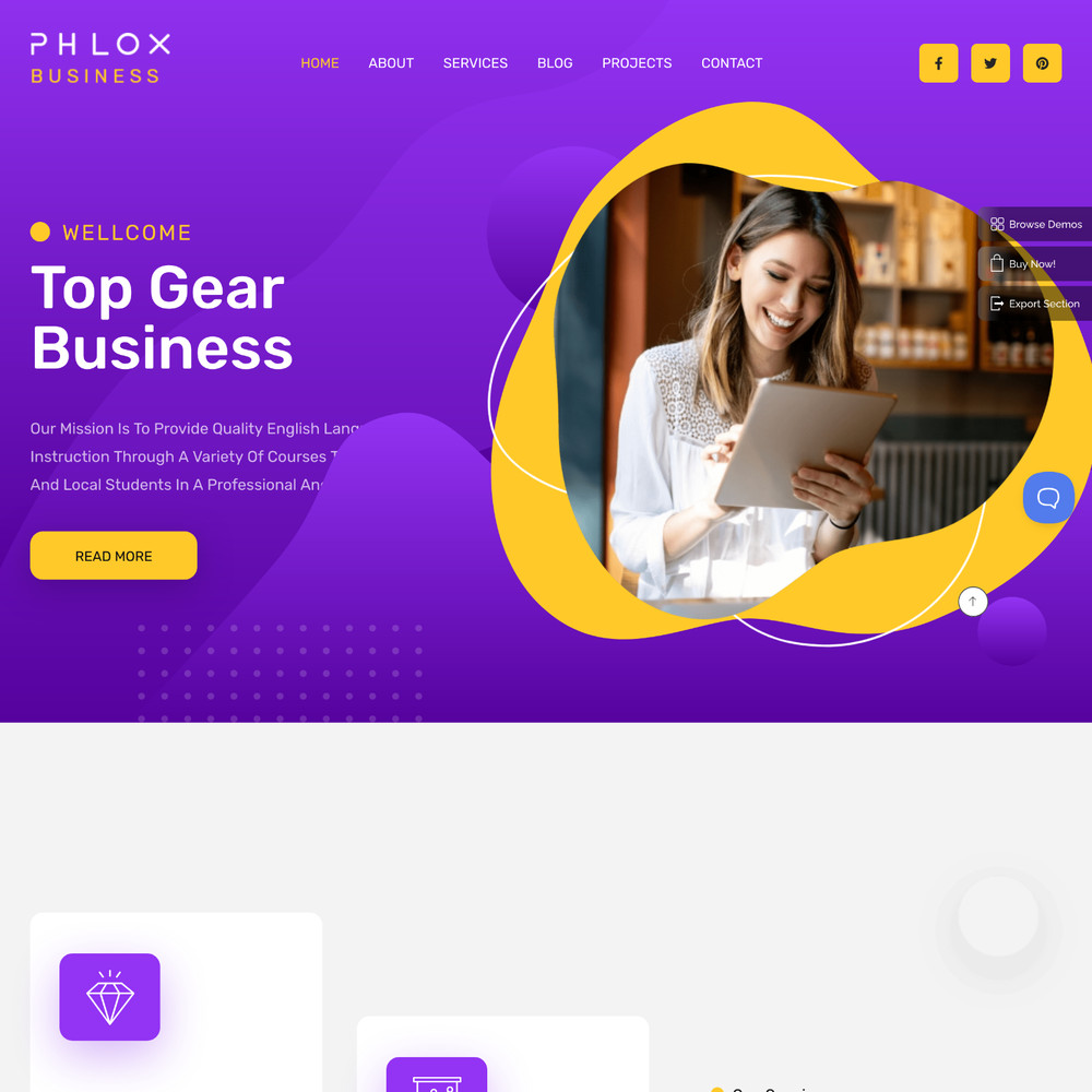 Web-based Business Website Design with Free VPS Web Hosting & Installation