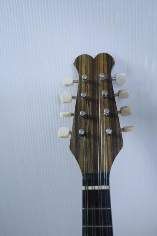 ◆Kunishima Mandolin No.106 ◆With hard case