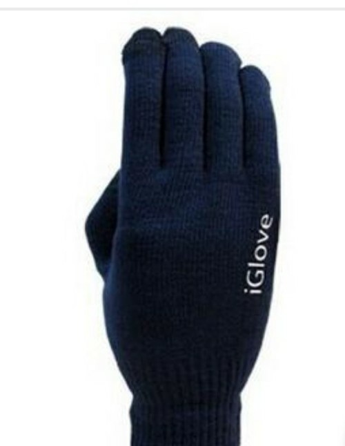Iglove Touch Screen Winter Gloves