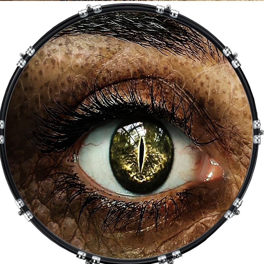 Custom 22" Aquarian Kick Bass Drum Head Graphical Image Front Skin