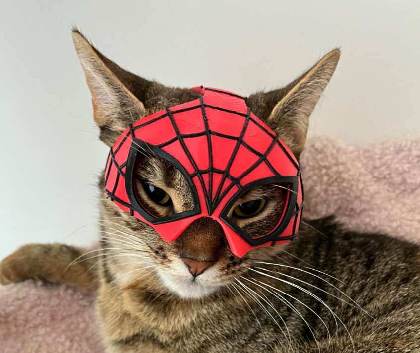 Spiderkitty Mask let your Cat be Spiderman