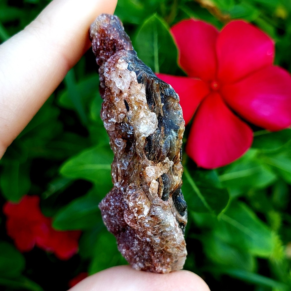 Fossilized Agate shell Cluster druzy natural crystal healing gemstone - #11