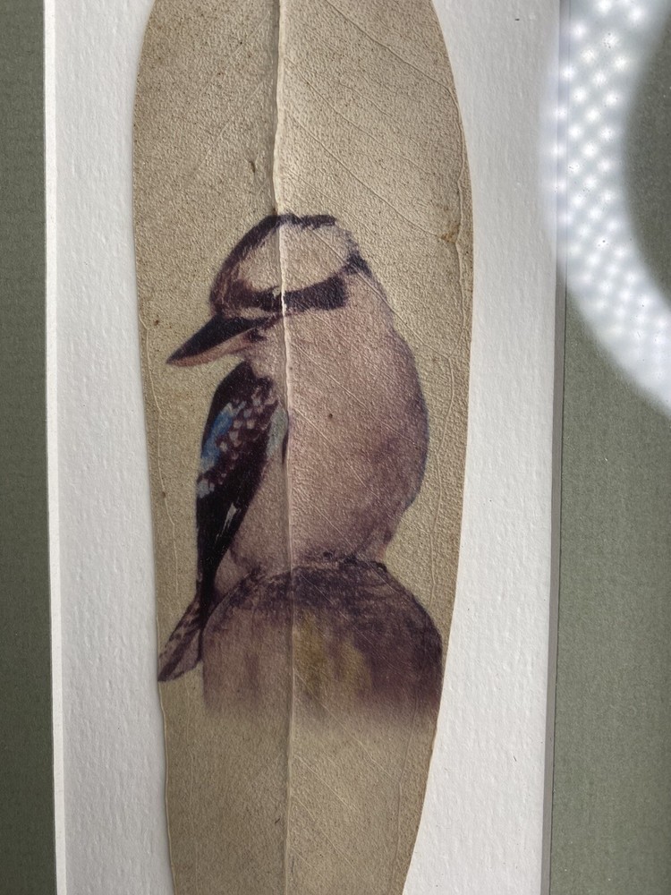 Bluegum Kookaburra Leaf Art Australia