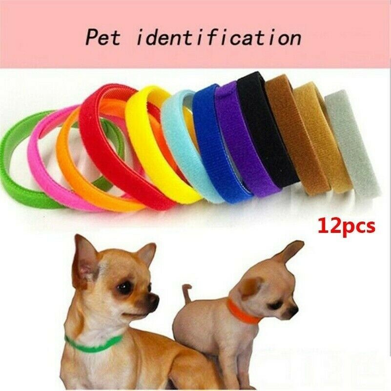 12 Litter Id Collars Infant & Kitten Identification Bands Breeders