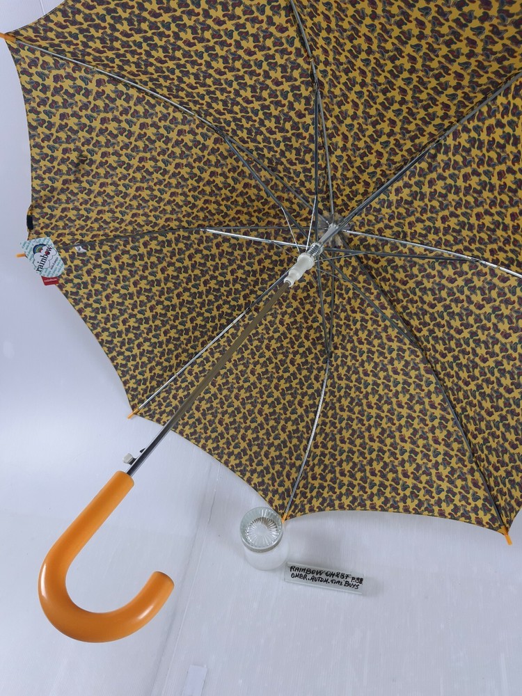 Long/Mini Umbrella - Automatic - Boys - 8 Slats - 0428F - Rainbow