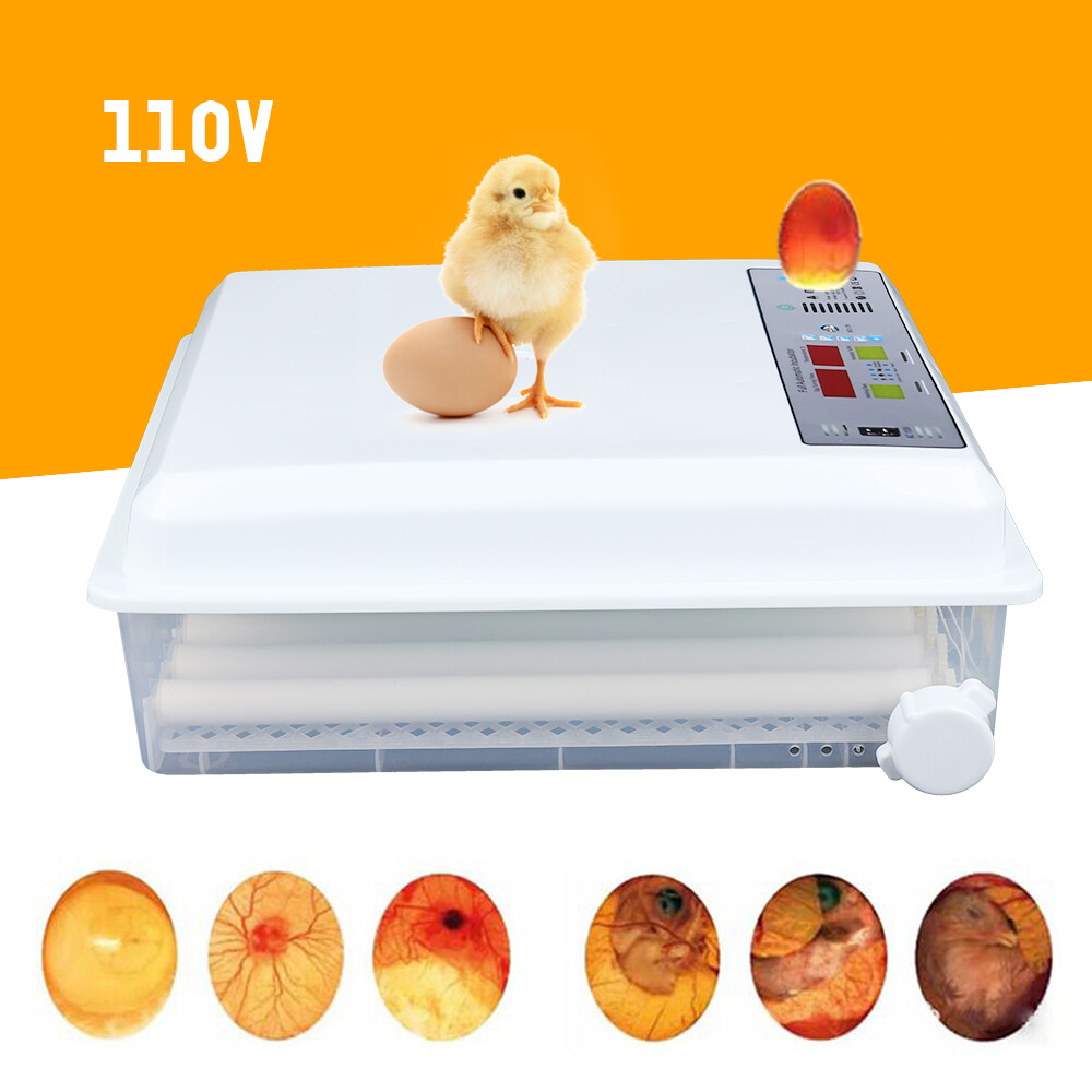 Digital Incubators for Hatching 64 Eggs Incubator Automatic Egg Turning Chicken