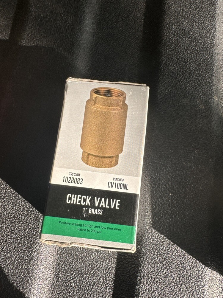 Water Source Brass Check Valve 1" 200psi CV100NL